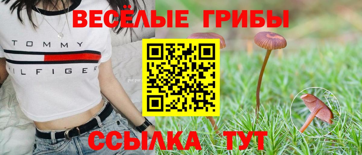 Ахтубинск  Галлюциногенные грибы Psilocybe  наркошоп  Вход с VPN 